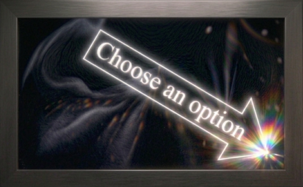 Premium IPTV Service